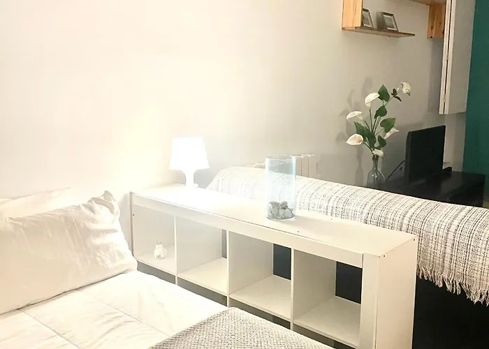 Central Apartment Apartment *